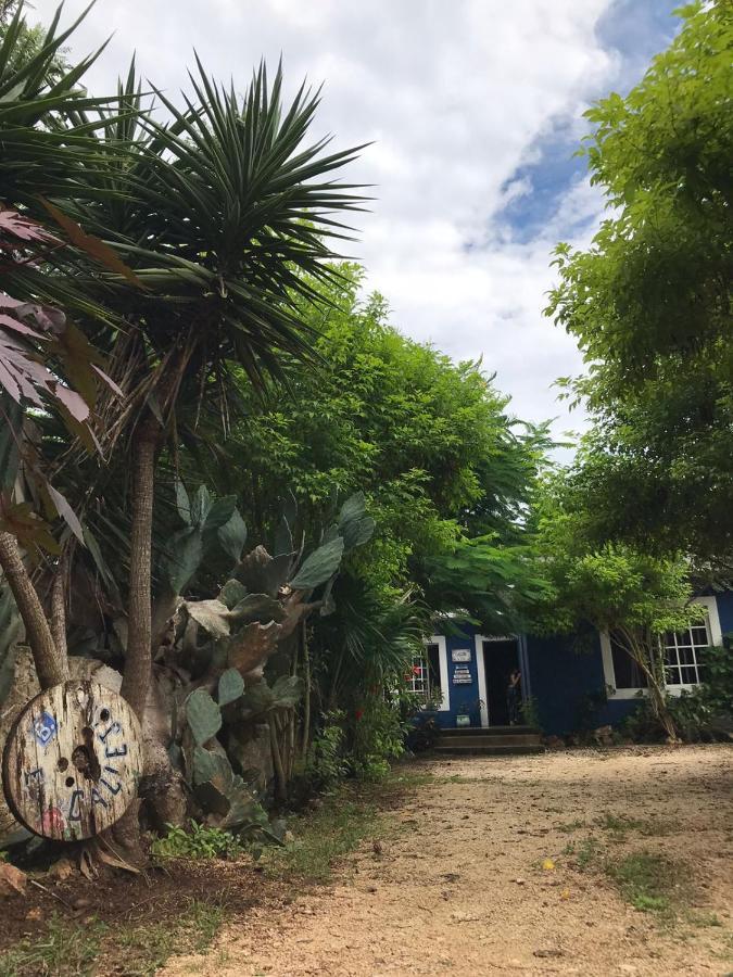 El Callejon Βαγιαδολίδ Εξωτερικό φωτογραφία