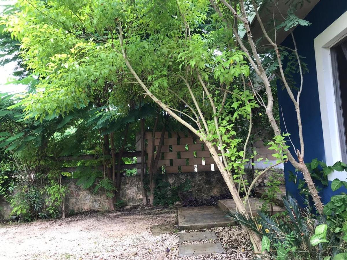 El Callejon Βαγιαδολίδ Εξωτερικό φωτογραφία