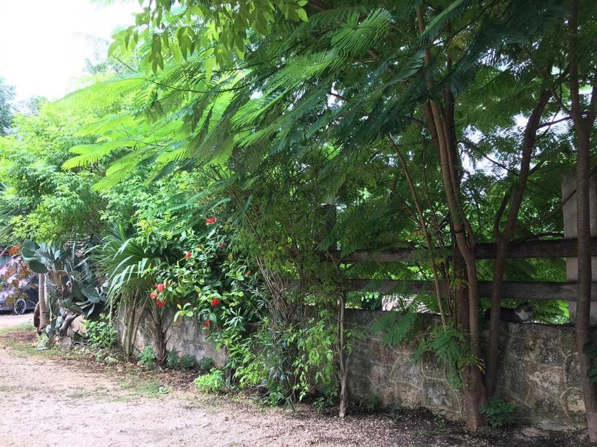 El Callejon Βαγιαδολίδ Εξωτερικό φωτογραφία