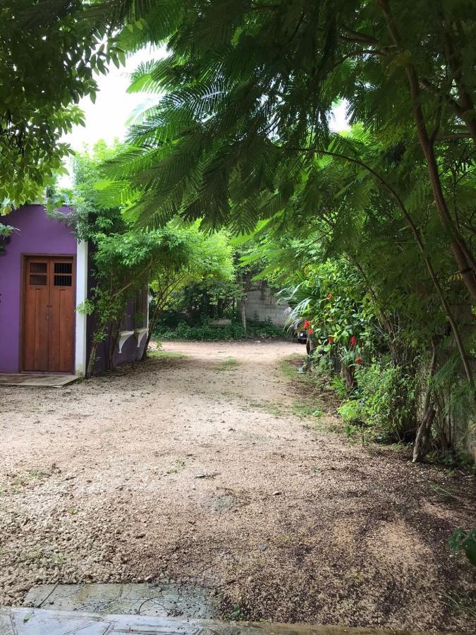 El Callejon Βαγιαδολίδ Εξωτερικό φωτογραφία